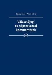 Választójogi és népszavazási kommentárok