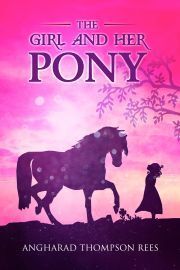 The Girl and her Pony