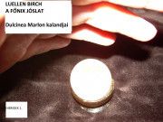 A Főnix Jóslat