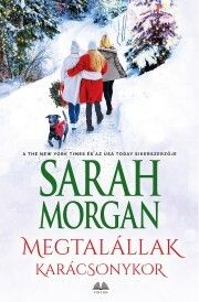 Megtalállak karácsonykor