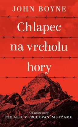 Chlapec na vrcholu hory