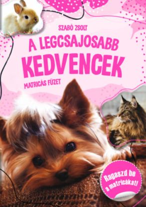 A legcsajosabb kedvencek - matricás füzet