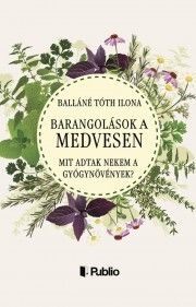 Barangolások a Medvesen