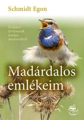 Madárdalos emlékeim