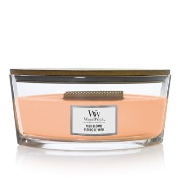 WoodWick sviečka loď Yuzu Blooms