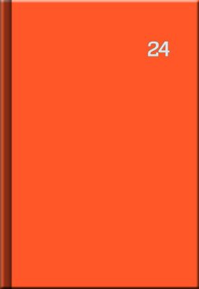 Denný diár PRINT Neon oranžový 2024
