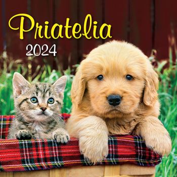 Nástenný kalendár Priatelia 2024