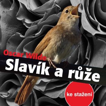 Slavík a růže