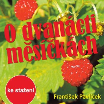 O dvanácti měsíčkách