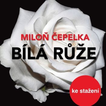 Bílá růže