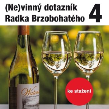 (Ne)vinný dotazník Radka Brzobohatého 4.