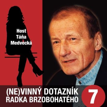 (Ne)vinný dotazník Radka Brzobohatého 7.