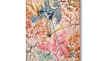 Diár 2024 Anemone Midi HOR Paperblanks
