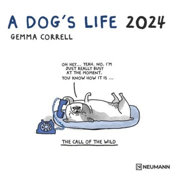 Nástenný kalendár Neumann 2024 A Dog´s Life kalendár