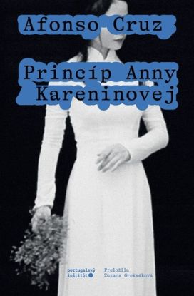 Princíp Anny Kareninovej
