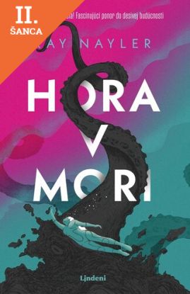 Lacná kniha Hora v mori