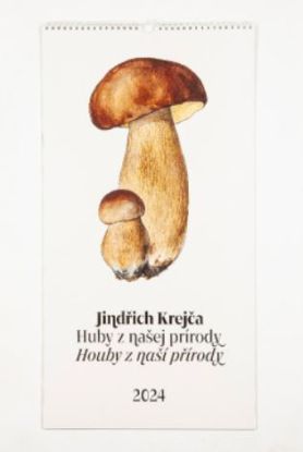 Nástenný kalendár 2024 Jindřich Krejča: Huby Z našej prírody