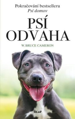 Psí odvaha