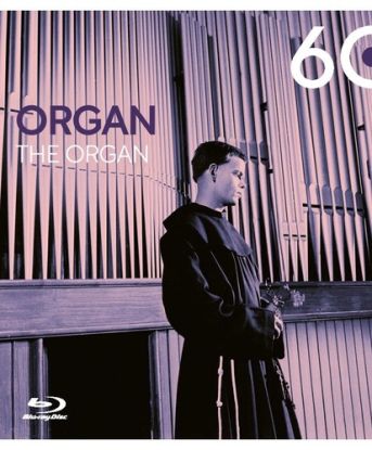 Organ BD