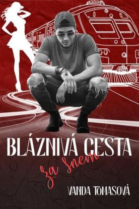 Bláznivá cesta za snem