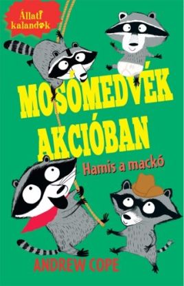 Hamis a mackó