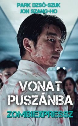 Vonat Puszánba