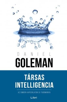 Társas Intelligencia