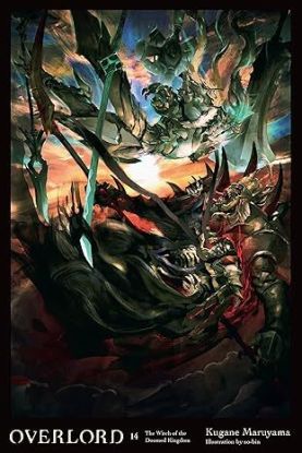 Overlord, Vol. 14 (light novel)