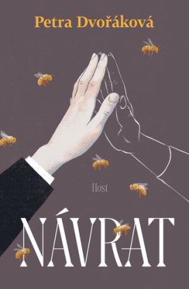 Návrat