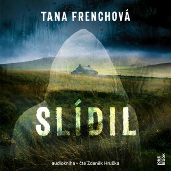 Slídil
