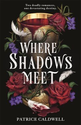 Where Shadows Meet 1