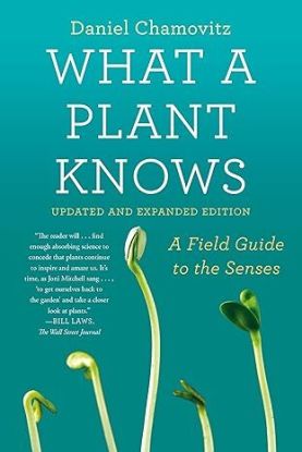 What a Plant Knows
