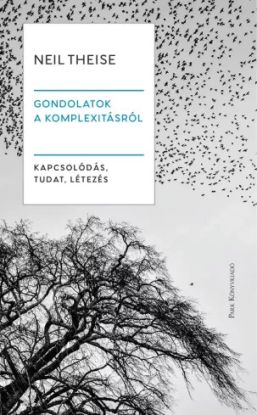 Gondolatok a komplexitásról