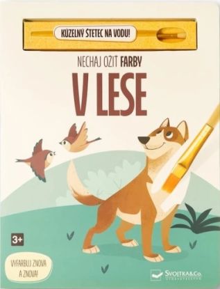 Nechaj ožiť farby - V lese