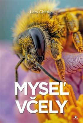 Myseľ včely