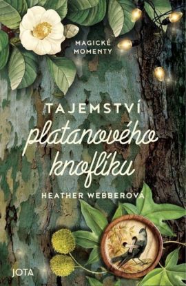 Tajemství platanového knoflíku