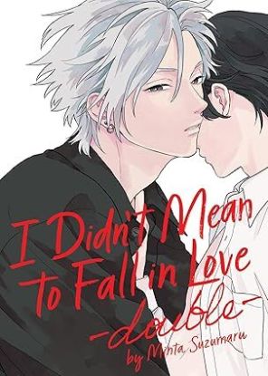 I Didnt Mean to Fall in Love -double-