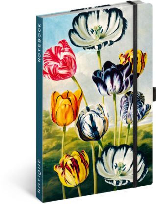 Notes Tulipány Kateřiny Winterové, linajkovaný, 13 x 21 cm