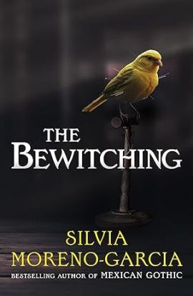 The Bewitching