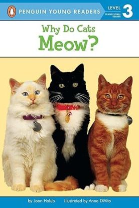Why Do Cats Meow