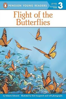 Flight of the Butterflies