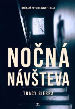 Nočná návšteva