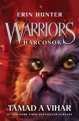Warriors - Harcosok 4: Támad a vihar