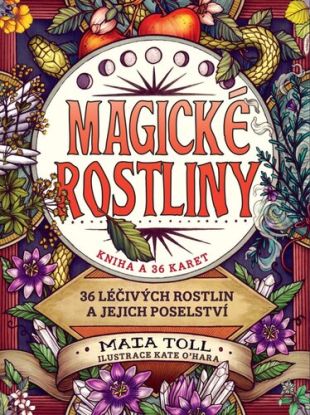 Magické rostliny – 36 léčivých rostlin a jejich poselství (kniha a 36 karet)