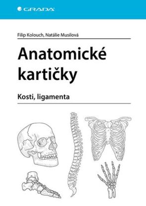 Anatomické kartičky - Kosti, ligamenta