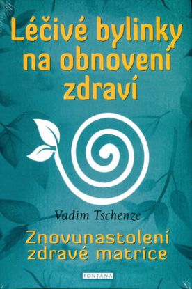 Léčivé bylinky na obnovení zdraví