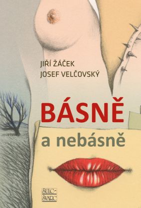 Básně a nebásně