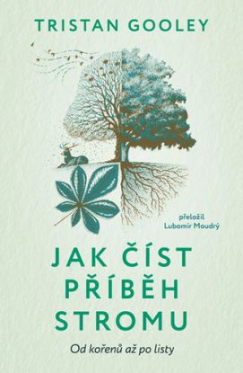 Jak číst příběh stromu