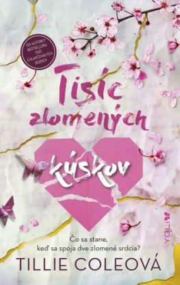 Tisíc chlapčenských bozkov 2: Tisíc zlomených kúskov
