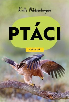 V přírodě - Ptáci